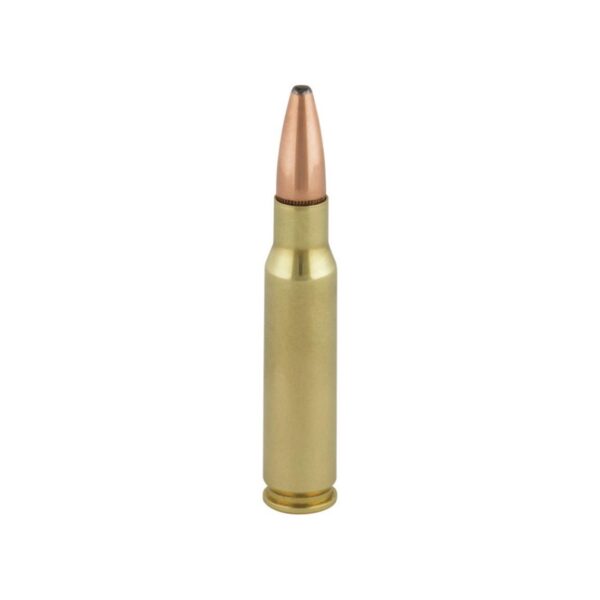 .308 Winchester, JSP, 180 Grain